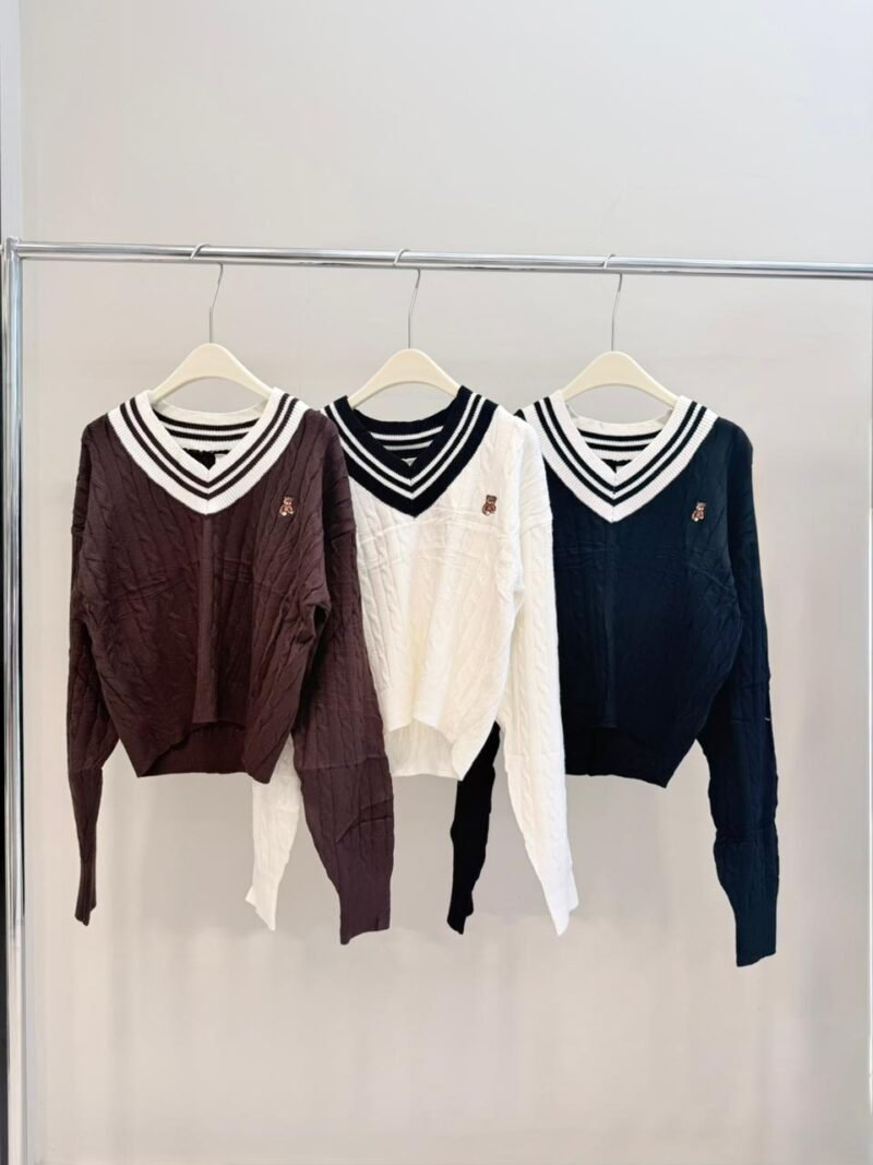 i028 - Sweater V bear