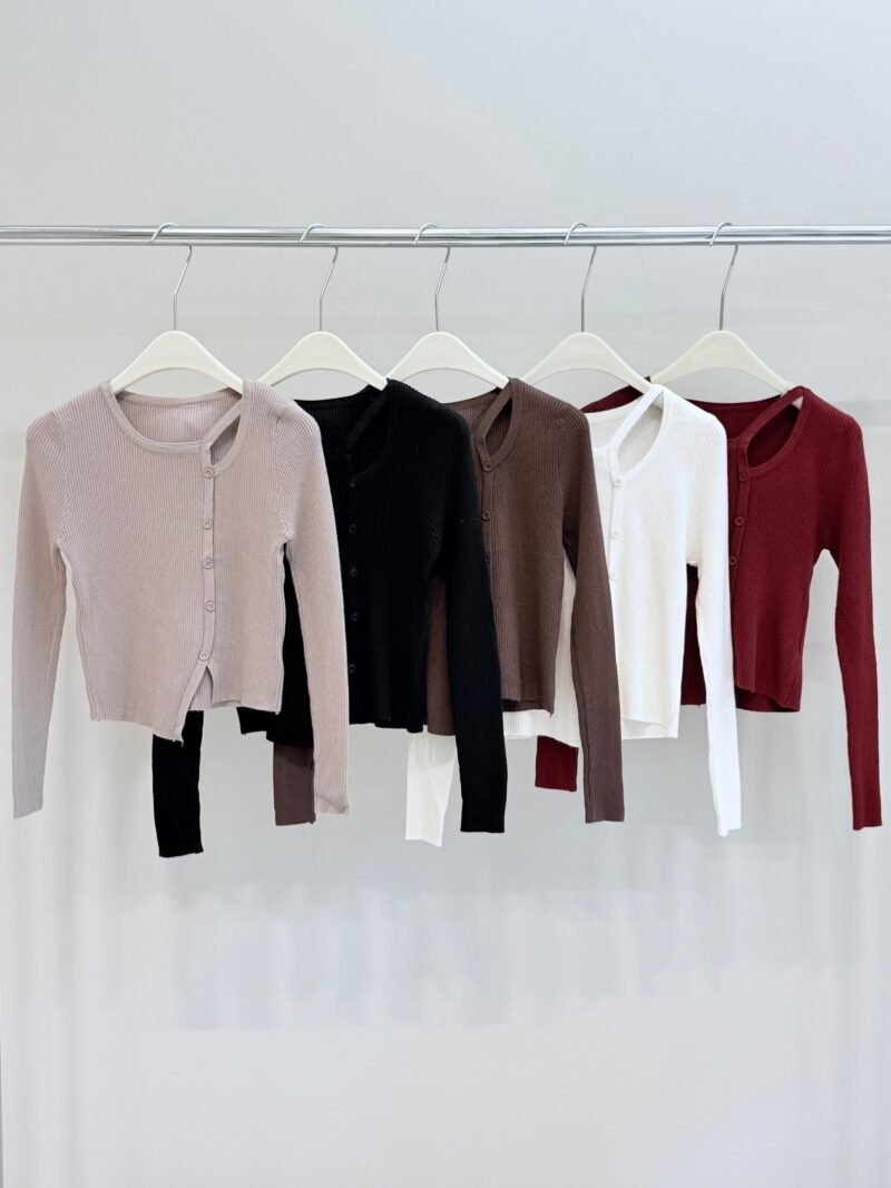 i133 - SW DESC BOTON